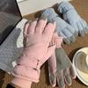 Ski Gloves for Men and Women 2026 New Autumn Velvet Thickened Warm and Cold Electric Vehicle Riding Gloves