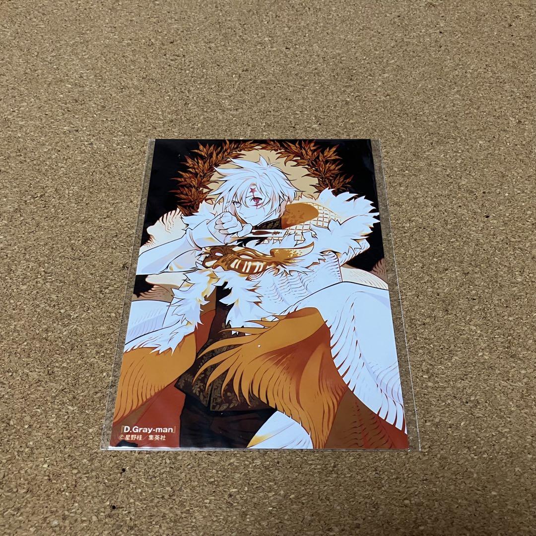 

[Б/У] D.Gray-man Всезвездная Бромидная Фотография Аллен