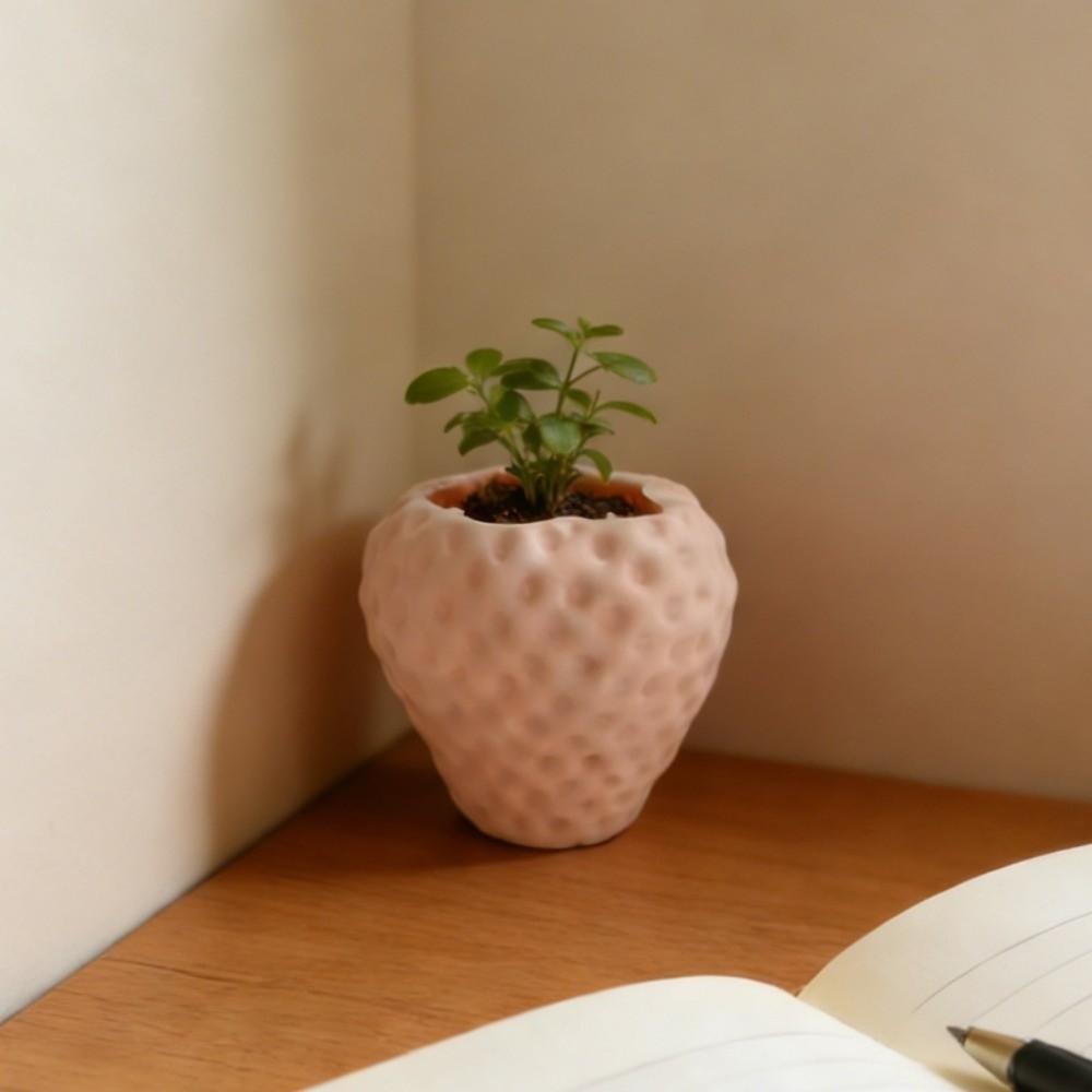 Sweet Strawberry Storage Box Ornaments Mini Plant Pot Cute Fruit Shaped Desktop Planter  Office