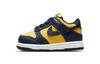 Dunk Low Michigan 2021 TD CW1589-700