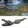 Artificial Fake Crocodile Alligator Head Floating Decoy Resin Garden Decor