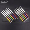 Jaswehome 12pcs Laguiole Stainless Steel Steak Knife Set Dinner Table Knife Set Dessert Knife for Dinner Cutlery Set
