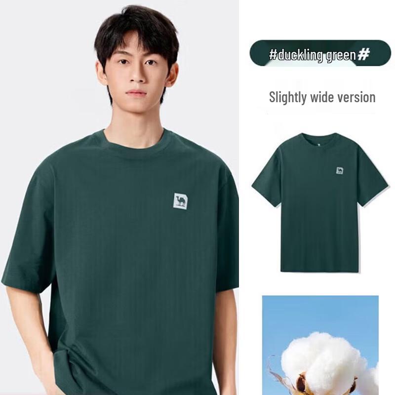 Camel Men s Crew Neck Cotton T-Shirt XL