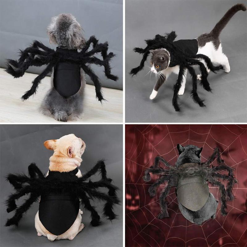 Pet Dog And Cat Costume Halloween Spider Transformation Outfit Pet Costume Pet Cat Dog Funny Cosplay Dress Up Clothes Costume