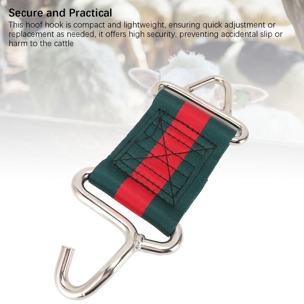 At Ayak Fiksasyon Kancası Paslanmaz Çelik Naylon Kumaş Sabitleme Kancası Sığır Ayak Tırnak Bakımı İçin