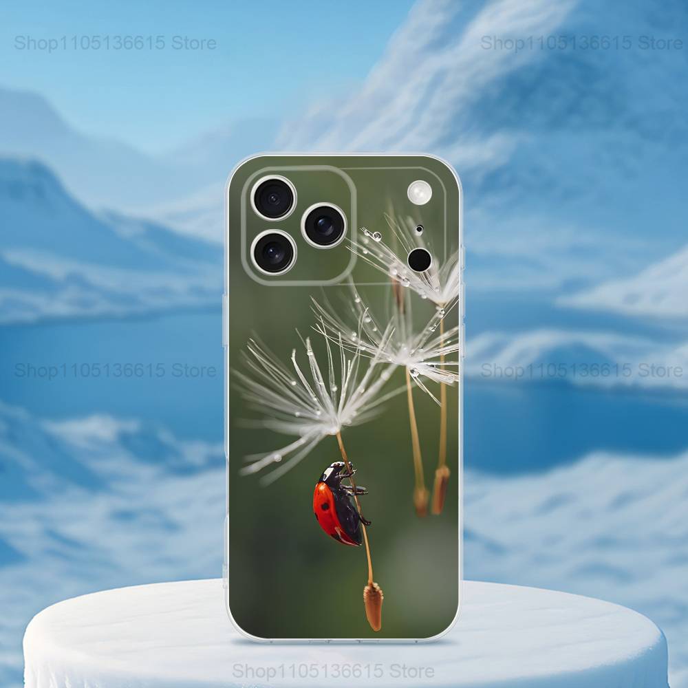 Cute Insect Ladybug For iPhone Max,14,SE,12,15,Pro,17,Plus,11,XS,Mini,16,X,13,XR,Transparent Soft Cover Case