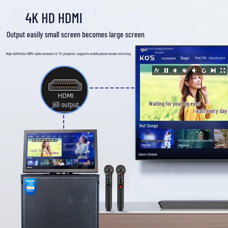 Philips SD329FX Home KTV Sound System