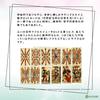 Marseille Tarot Mini Tarot fortune telling method Japanese instruction manual included Genuine tarot cards 78 cards Mini size