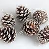 Christmas Decoration Fake Pine Cone Home Party Bedroom Garden Wood Powder 5cm Length 6pcs Craft Making Exquisite