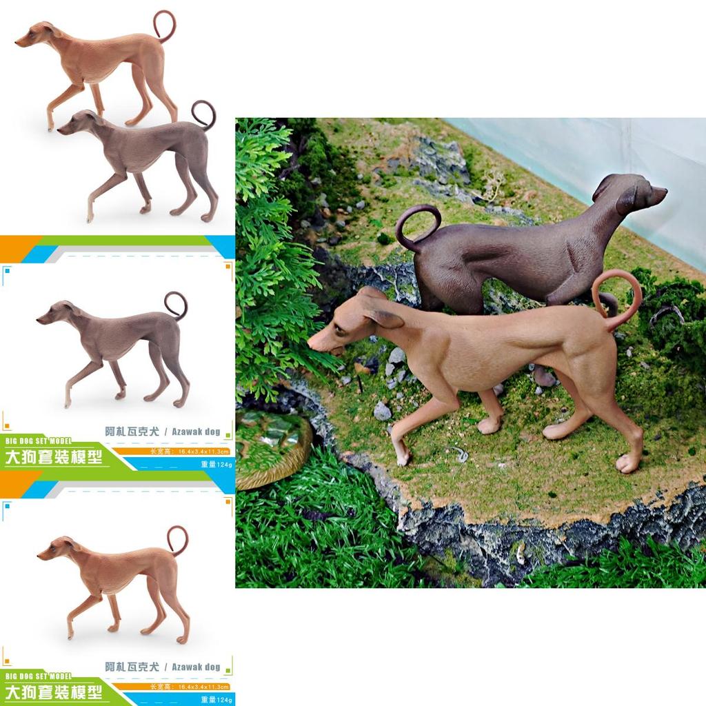 Azawakh Dog Model Collectible Pvc Figure For Kids And Pet Enthusiasts