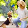 Bite Resistant Dog Ball Indestructible Interactive Tennis Balls For Dogs High Elasticity Pet Teething Toys For Large Medium
