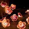 LED Pink Blossom Heart Vine String Lights with Green Leaves