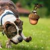 Interactive Ball For Dogs Motion Activated Rolling Ball Interactive Toys With Sound And Lights For Medium Small Dogs Puppy Pet