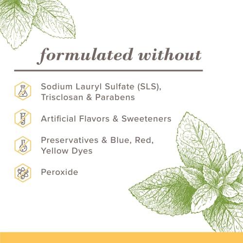 Burt's Bees Toothpaste, Fluoride Free, Purely White, Zen Peppermint, 4.7oz, 3-Pack