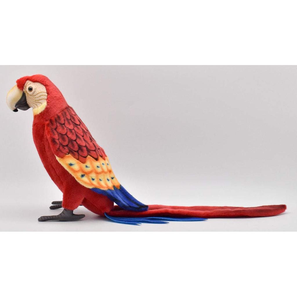 BH3067 HANSA Macaw 72