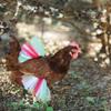 Chicken Skirt Pet Skirt Chicken Ballet Skirt Princess Mesh Skirt Colorful Chicken Skirt