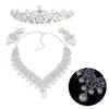 Rhinestone Crown Jewelry Set 1 Set
