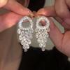 Silver Needle CZ Round Water Drop Tassel Stud Earrings - Exquisite, Fashionable, Versatile High-End Accessories for Women