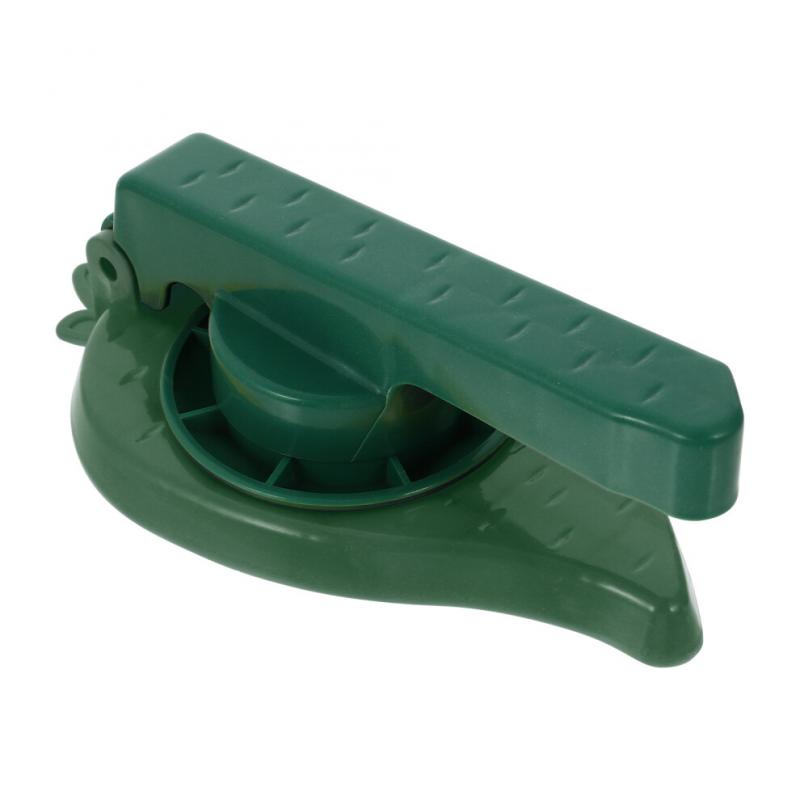 Teigtaschenpresse Teigplattenpresse PP Grün 1 Packung