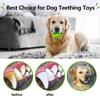 Puppy Teething Chew Clean Toy Balls Interactive Dog Treat Dispensing Ball Rubber Small Pet Enrichment Brain Stimulating Games