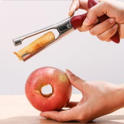Stainless Steel Fruit Corer Multi-Functional Portable Core Remover Tool Durable Handle Fruit Pitter Cooking Tools