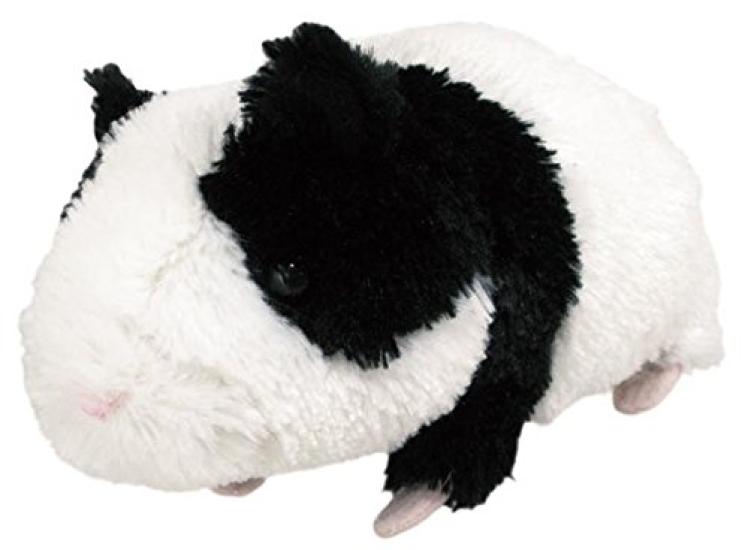 Guinea Pig BK