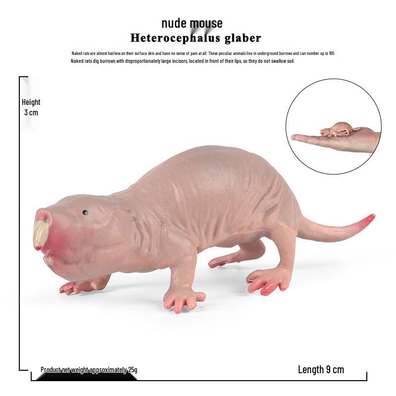 Children s Naked Mole Rat Simulation Model Toy