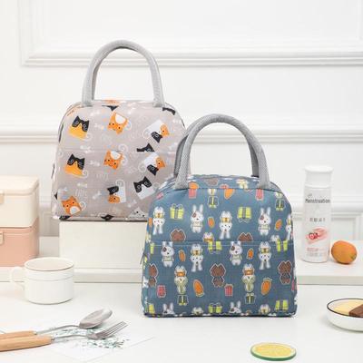 Insulated Cartoon Lunch Box for Adults and Students, Office Workers, Female - Rice Bucket Lunch Bag