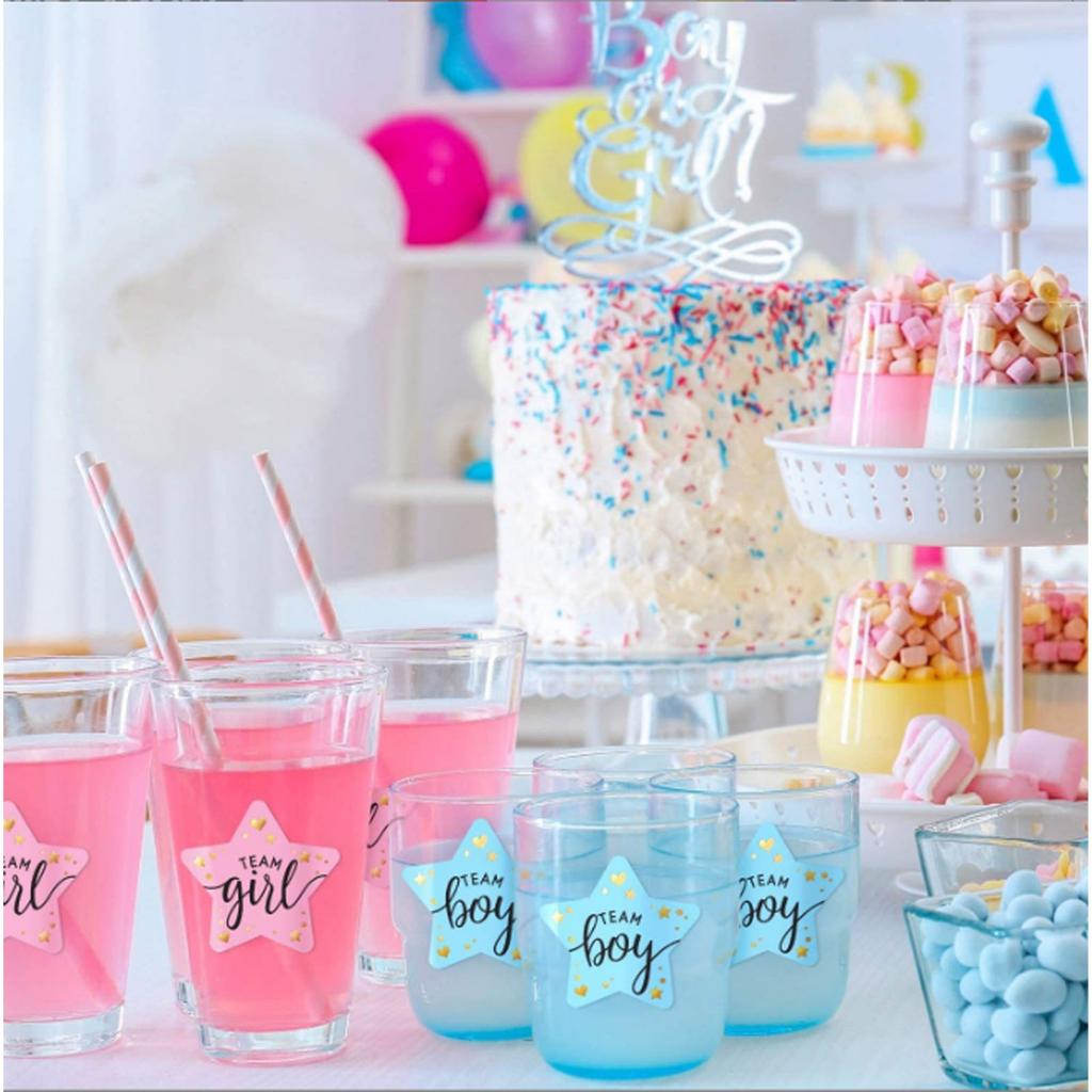 120 Sheets Gender Reveal Stickers Team Girl and Boy Stickers Gender Reveal Labels for Gender Reveal Party