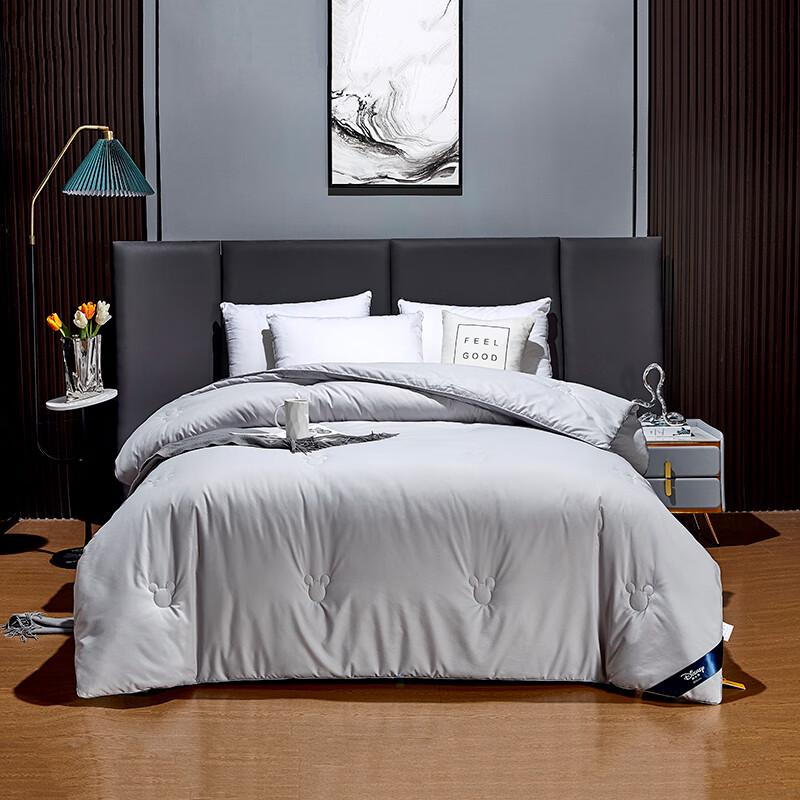 

Disney Ultrasonic Antibacterial Wool Quilt