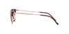sunglasses RB4416 CLUBMASTER ROSE GOLD 53 NEW 6654G9 BORDEAUX ON polarized Ray-Ban
