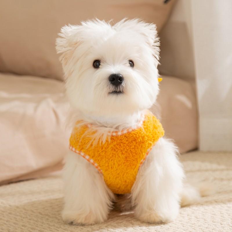 Pet Winter Vest With Scarf Small Medium Dogs Cats Teddy Bichon Two Leg Fleece Warm Coat