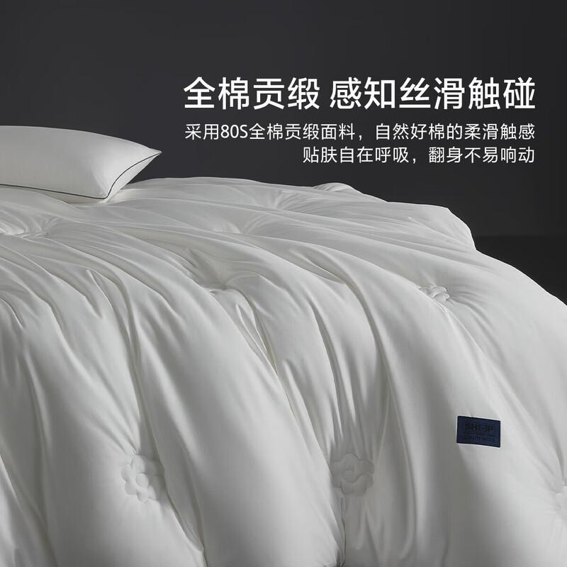 

Mercury Home Textiles 100% Wool Winter Quilt