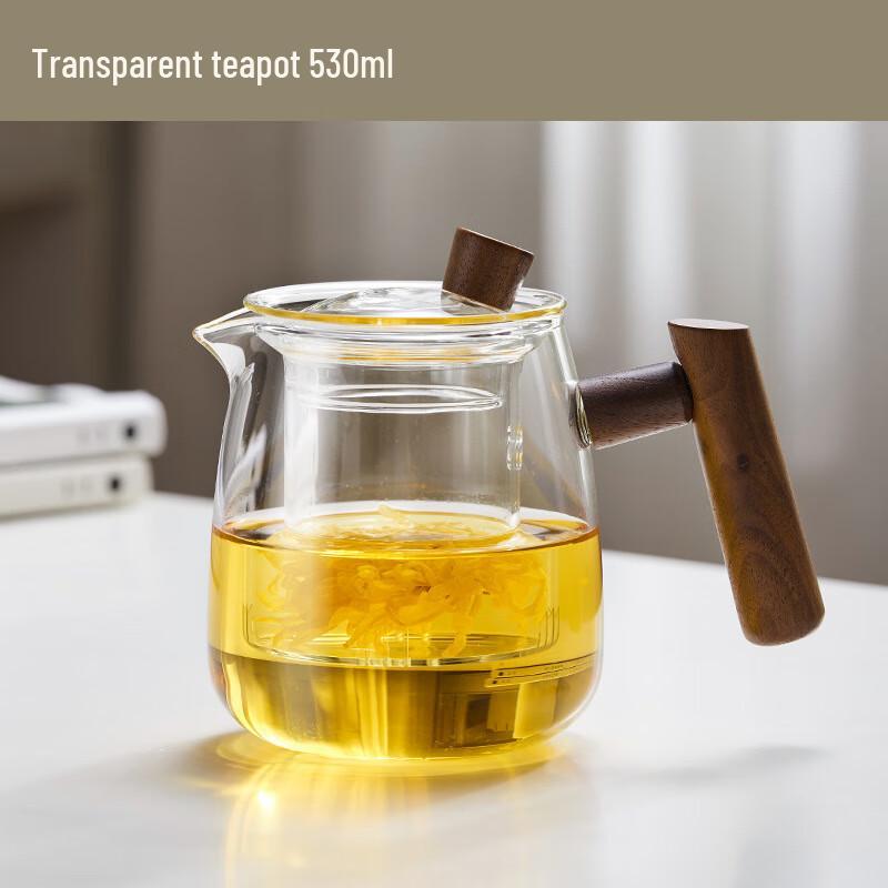 TIANXI Portable Tea Infuser Glass Water Bottle with Handle