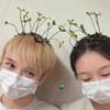 5-100pcs Small Bean Sprouts Hairclip Funny Bean Sprouts Small Flowers Small Grass Sprouts Hair Clip Children's Hair Accessories