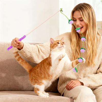 Cat Wand Toy Fruit Design String With Non-Slip Handle Cat Stick Toy For Indoor Kitten Play Bird Fish Mouse Boredom