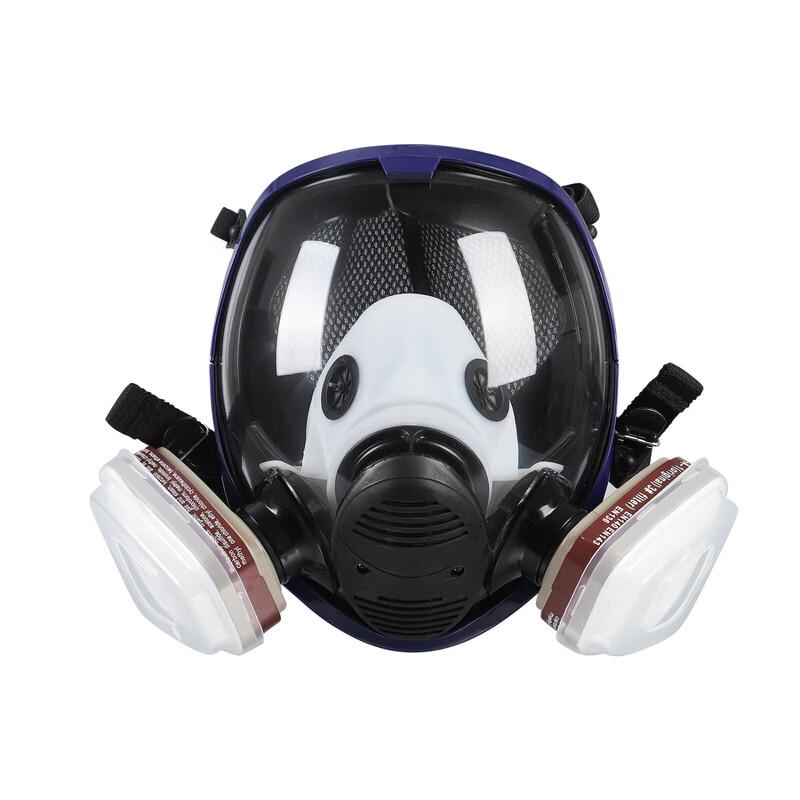 DAXTE Full-Face Spherical Respirator Mask