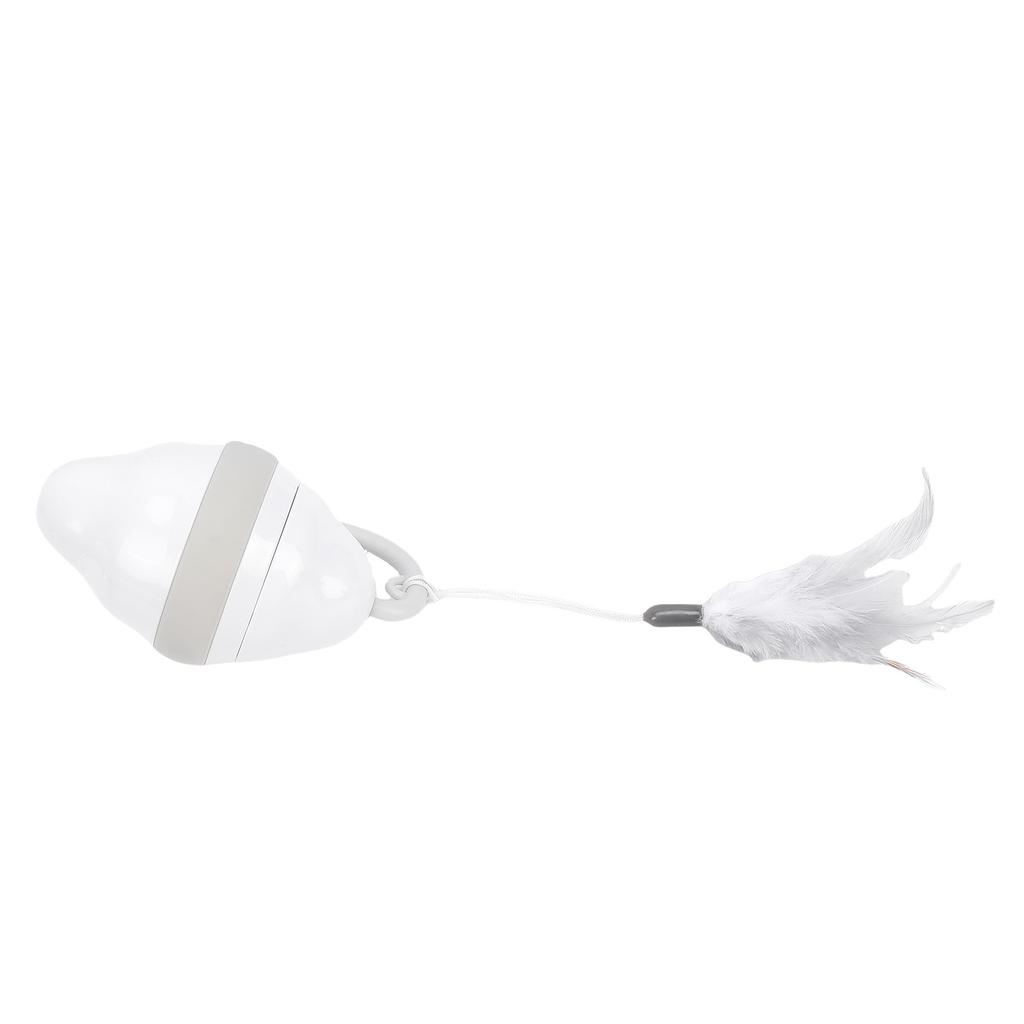 Elektrisches rollendes Katzen-Spielzeug, interaktives Selbstspiel-Spielzeug mit Schwanz für gelangweilte Hauskatzen, Beschäftigung