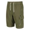 Regatta Mens Hotham IV Swim Shorts