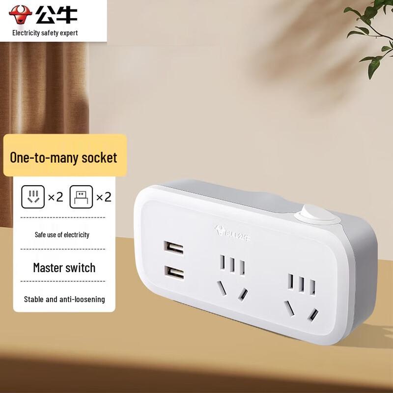 BULL Multi-Functional Power Socket Converter