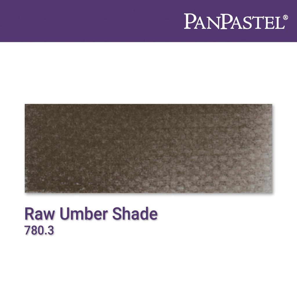PanPastel Raw Umber Shade 27803