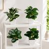 Desktop Ornament Home Decor Ring Plastic Green 1 Pc