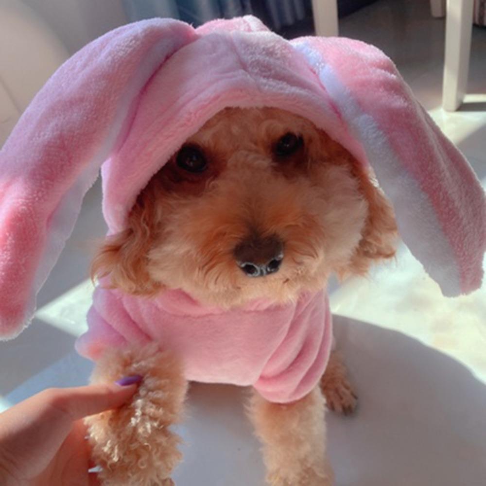 Dog Clothes Cat Pet Clothes Dog Supplies Autumn and Winter New Products Long Ears Rabbit Cat Small Medium Dog Transformation Clothing