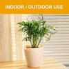 Self Watering Device Automatic Plant Water Irrigation Tool When Away On Vacation Travel