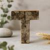 Wooden Letter T Rustic Bark, 7 Cm