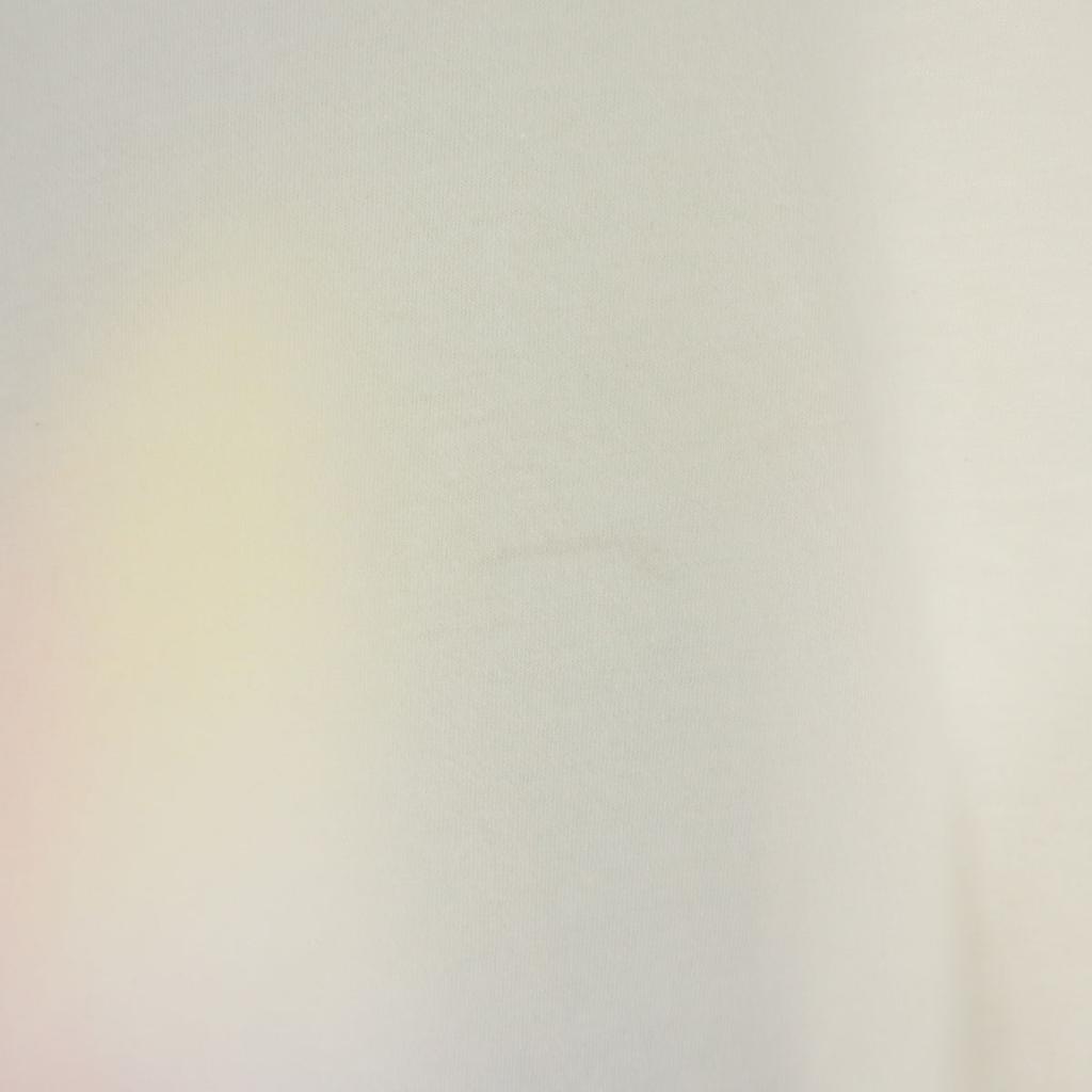 adidas Originals Spectrum Print Short Sleeve T-shirt L Off White Men's Used