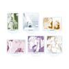 Coyote 01 [Official Illustration] Acrylic Petit Stand Complete Set (Box of 6)