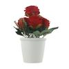 Exquisite Rose Flower Freshing Natural Plastic Potted