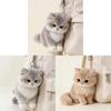 Portachiavi Gatto Peluche Con Materiale Peluche Corto Morbido Per Regalo E Decorazione Borsa
