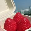 Simulation Strawberry Squeeze Toy Silicone Cartoon Fidget Toy Strawberry Pinch Toy  Practical Jokes